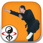 Shaolin Kung Fu icon