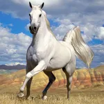 Horses Jigsaw Puzzles icon