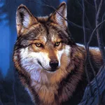 Wolf Jigsaw Puzzles icon