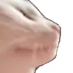 Cat Jam Heart Rate icon