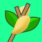 MANGO × MANGO icon