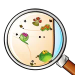 Daily Disease Surveillance icon