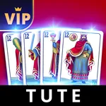 Tute Offline - Card Game icon