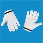 Gloves Mockup icon