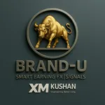 Brand U FX – Learn Forex Fast icon