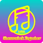 Shoxruxbek Ergashev Mp3 2023 icon