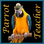 Parrot Teacher icon