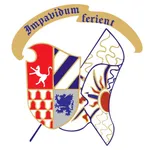 Sbandieratori di Narni icon