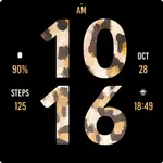 Leopard Watch Face icon