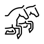 UAE Equestrian icon