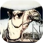 Zumool Al Khaleej زمول الخليج icon