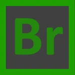 Bridge Asset Management System icon