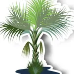 CananguchalApp icon