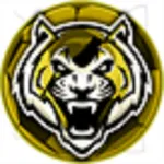 Correct Score App 100 Sure icon