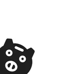 Rough Budget Mate - I&E Mng. icon