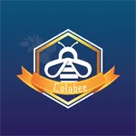 Colabee - Smart business conta icon