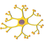 Backpropagation icon