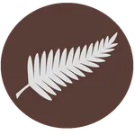NZ Radio Player icon