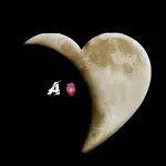 Text on Live Wallpaper icon