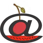 DATALUTA PRODUÇÃO icon