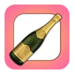BottleSpinnin icon