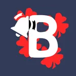 Daily Budget Book icon