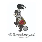 TC Stromberg icon