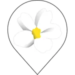 Blütenweg WohlfühlApp icon