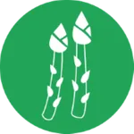 Esparragos delivery icon