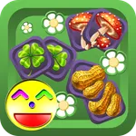 Memory-Match3 icon
