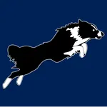 DD Zeitmessanlage icon