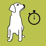 HSF Zeitmessanlage icon