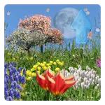 Spring Flowers Live Wallpaper icon