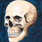 Skully Portrait Poser icon