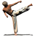 Taekwondo Forms icon