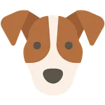 Jackons - Icon Pack icon