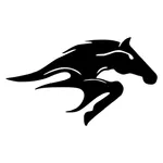 Taura EXPRESS 2 icon