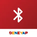 DeneyapBT icon