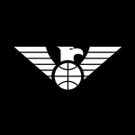 Newcastle Eagles icon