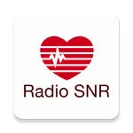 Radio SNR icon