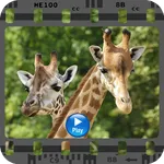 Documentaries Animals Online icon
