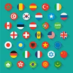 Country Flags icon