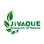 Jivaque Mall icon