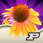 Purdue Perennial Doctor icon