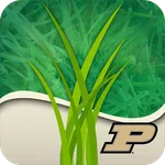 Purdue Turf Doctor icon