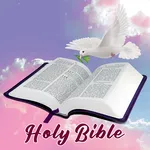 Holy bible : English icon