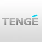 Tenge icon