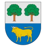 Morales de Toro Informa icon