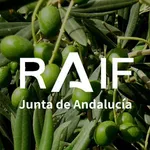 RAIF Andalucía icon