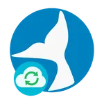 NO PROBLEM NUBE icon